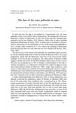The fate of the zona pellucida in mice