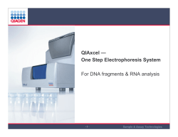 QIAxcel &ndash; One Step Electrophoresis System For DNA