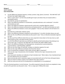 Biology II Unit 5: Animals Exam Study Guide 1