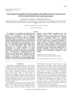 Pdf - Journal of Experimental Biology