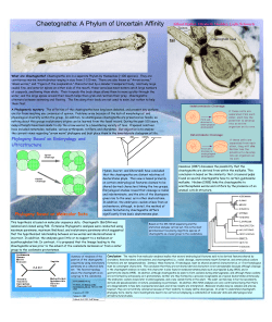 Pdf of Invert Poster