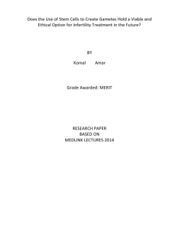 Does the Use of Stem Cells to Create Gametes Hold a