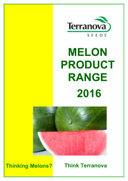 melon - Terranova Seeds