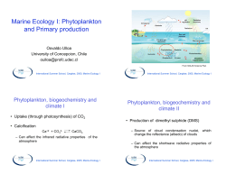 Marine Ecology I: Phytoplankton and Primary production