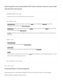 Gymnosperms are seed plants that have evolved cones