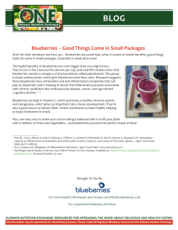 Blueberries &ndash; Good Things Come in Small Packages
