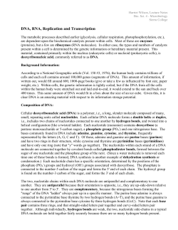 DNA, RNA, Replication and Transcription