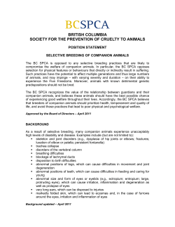 Selective Breeding of Companion Animals