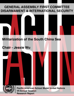 Militarization of the South China Sea Chair - Jessie Wu