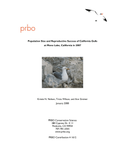 Population Siz lifornia Gulls at Mono Lake, California in 2007 e and