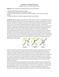 Amylase: A Sample Enzyme