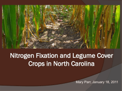 Nitrogen Fixation of Cover Crop Legumes Used in Organic Farming