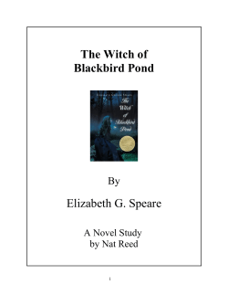 The Witch of Blackbird Pond