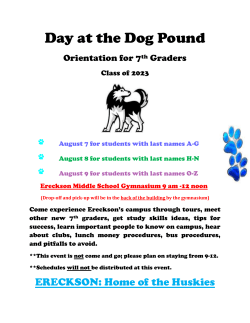 Day at the Dog Pound