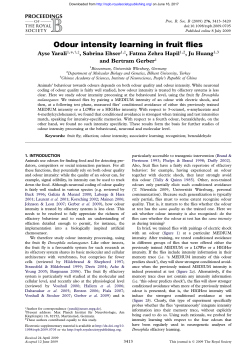 Odour intensity learning in fruit flies