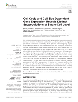 Cell Cycle and Cell Size Dependent Gene Expression Reveals