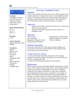 How big is a humpback whale? - University of Hawaii at Hilo