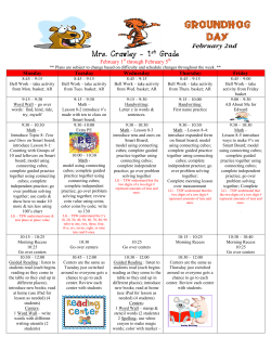 Lesson Plans Template