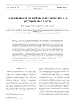 Respiration and the carbon-to-nitrogen ratio of a phytoplankton bloom