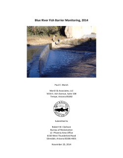 Blue River fish barrier monitoring final report Nov 20 2014