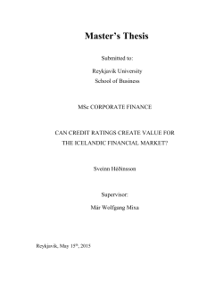 Master`s Thesis