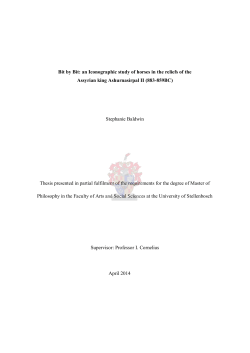 Bit by Bit: an Iconographic study of horses in the reliefs of the