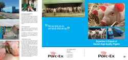 Expertise in Export of Danish High Quality Piglets - Porc-Ex
