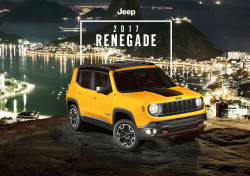 2017 RENEGADE