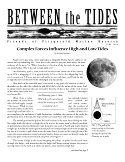 Complex Forces Influence High and Low Tides