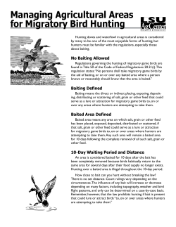 pub2423migratorybirdhuntingLOWRES1 / 0.20MB