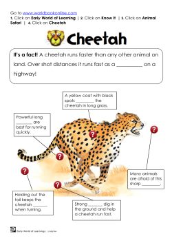 It`s a fact! A cheetah runs faster than any other animal on land. Over