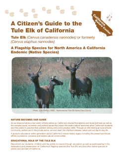 A Citizen`s Guide to the Tule Elk of California