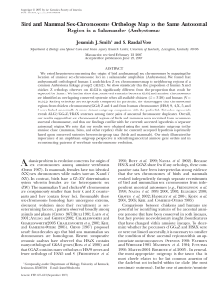 Bird and Mammal Sex-Chromosome Orthologs Map to