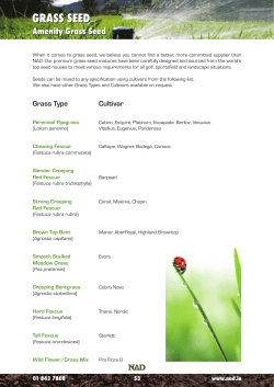 GRASS SEED Amenity Grass Seed