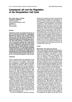 Cytoplasmic pH and the Regulation of the Dictyostelium Cell Cycle