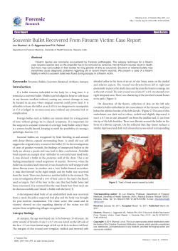 Peer-reviewed Article PDF