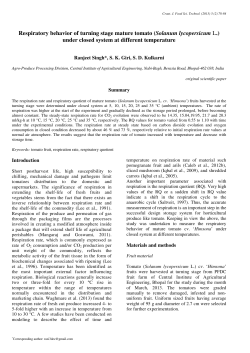 Respiratory behavior of turning stage mature tomato (Solanum
