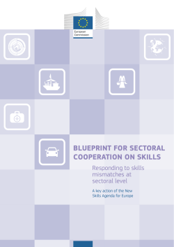 Blueprint for Sectoral Cooperation on Skills
