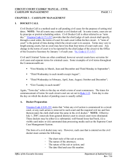 chapter 3 - Virginia`s Judicial System