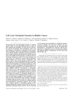 Cell Cycle Checkpoint Function in Bladder Cancer