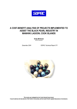 A cost-benefit analysis of projects implemented to assist the black