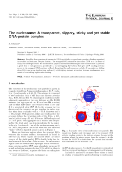 The nucleosome: A transparent, slippery, sticky and yet stable DNA