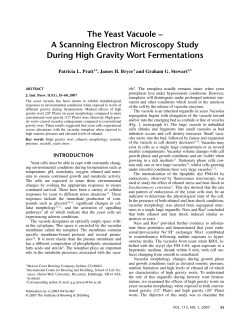 The Yeast Vacuole A Scanning Electron Microscopy Study During