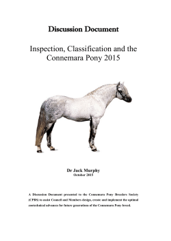 Connemara Pony Discussion Document October 2015