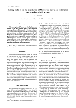 Staining methods for the investigation of Plasmopara - Vitis-vea