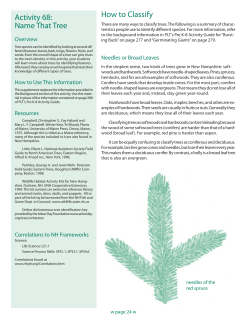 Activity 68 - NH Project Learning Tree