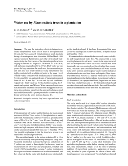 Water use by Pinus radiata trees in a plantation