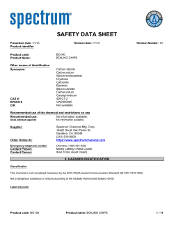 SDS: Boiling Chips (SSSPB05)