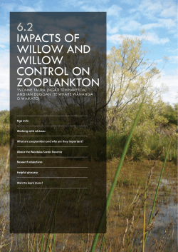 6.2 Impacts of willow and willow control on zooplankton