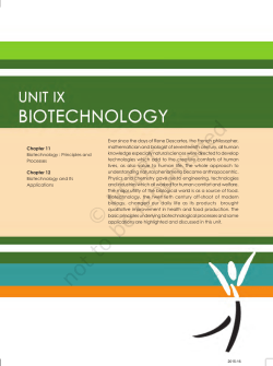 principles and processes